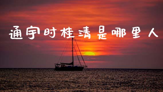 通宇时桂清是哪里人_https://wap.fcdydaikuan.com_期货品种_第1张