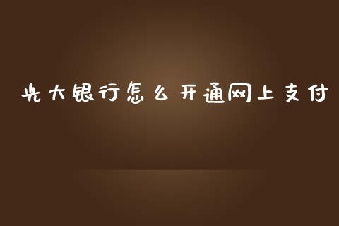 光大银行怎么开通网上支付_https://wap.fcdydaikuan.com_国际投资_第1张