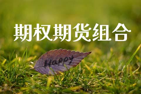 期权期货组合_https://wap.fcdydaikuan.com_投资策略_第1张
