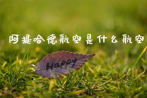 阿提哈德航空是什么航空_https://wap.fcdydaikuan.com_金融机构_第1张