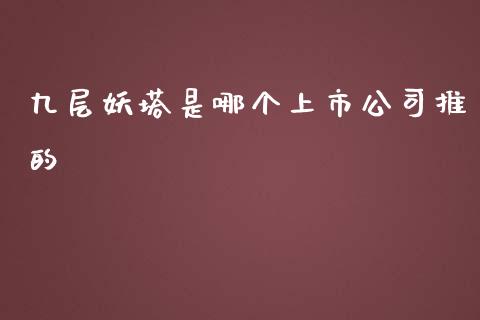 九层妖塔是哪个上市公司推的_https://wap.fcdydaikuan.com_新股数据_第1张