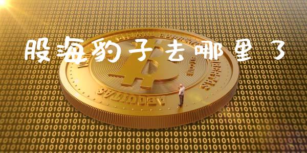 股海豹子去哪里了_https://wap.fcdydaikuan.com_国际投资_第1张
