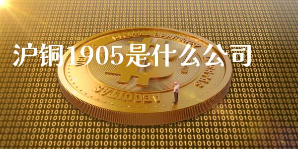 沪铜1905是什么公司_https://wap.fcdydaikuan.com_理财顾问_第1张