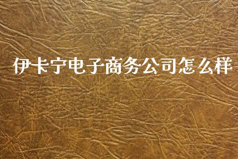 伊卡宁电子商务公司怎么样_https://wap.fcdydaikuan.com_国际投资_第1张