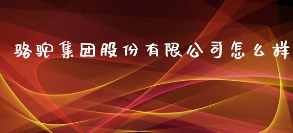 骆驼集团股份有限公司怎么样_https://wap.fcdydaikuan.com_期货品种_第1张