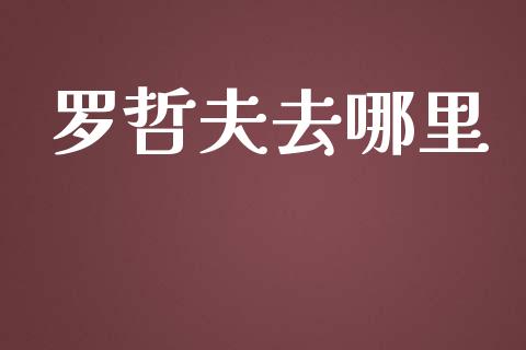 罗哲夫去哪里_https://wap.fcdydaikuan.com_金融机构_第1张