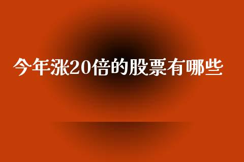 今年涨20倍的股票有哪些_https://wap.fcdydaikuan.com_新股数据_第1张