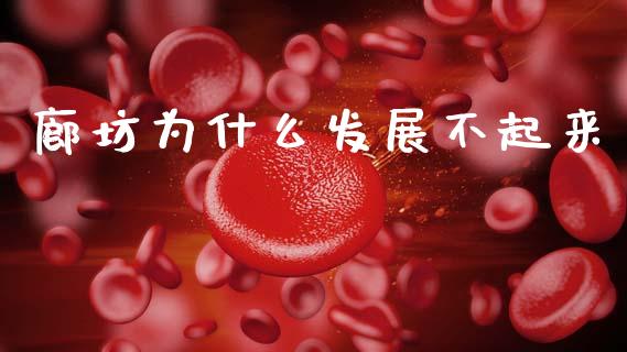 廊坊为什么发展不起来_https://wap.fcdydaikuan.com_投资策略_第1张