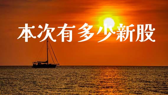 本次有多少新股_https://wap.fcdydaikuan.com_新股数据_第1张