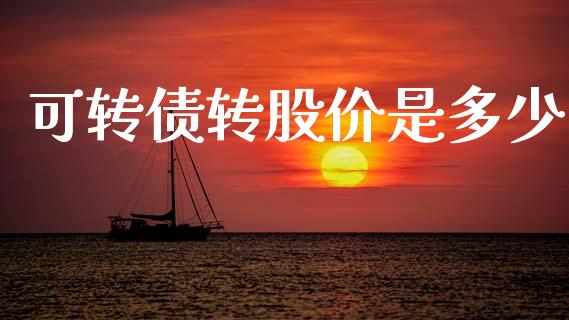 可转债转股价是多少_https://wap.fcdydaikuan.com_金融机构_第1张
