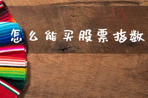 怎么能买股票指数_https://wap.fcdydaikuan.com_期货品种_第1张
