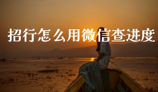 招行怎么用微信查进度_https://wap.fcdydaikuan.com_新股数据_第1张