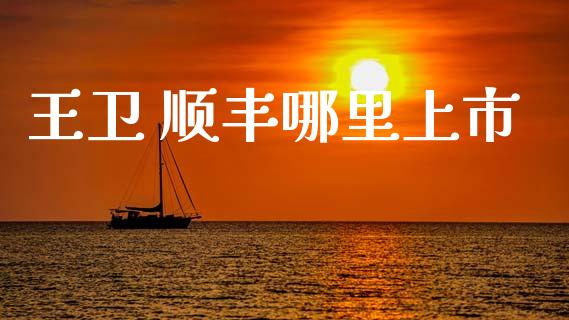 王卫 顺丰哪里上市_https://wap.fcdydaikuan.com_理财顾问_第1张