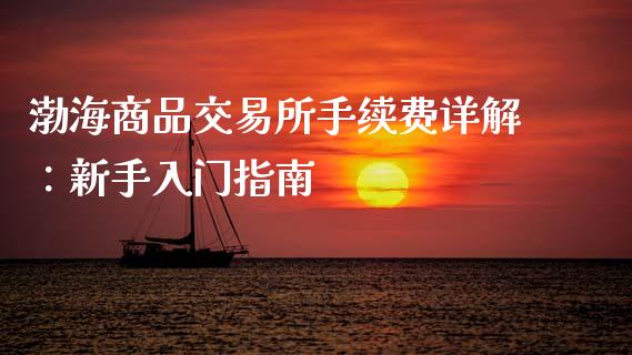 渤海商品交易所手续费详解：新手入门指南_https://wap.fcdydaikuan.com_投资策略_第1张