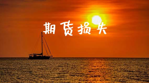 期货损失_https://wap.fcdydaikuan.com_国际投资_第1张