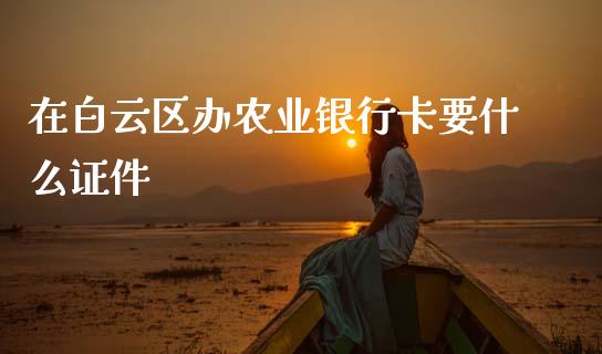 在白云区办农业银行卡要什么证件_https://wap.fcdydaikuan.com_投资策略_第1张