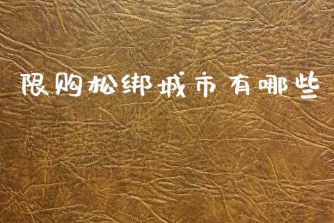 限购松绑城市有哪些_https://wap.fcdydaikuan.com_投资策略_第1张