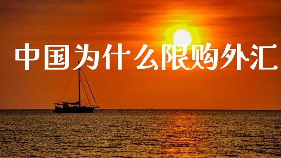 中国为什么限购外汇_https://wap.fcdydaikuan.com_理财顾问_第1张