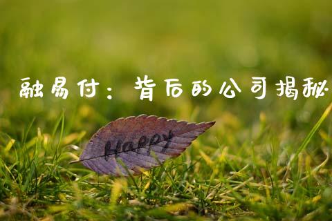 融易付：背后的公司揭秘_https://wap.fcdydaikuan.com_国际投资_第1张