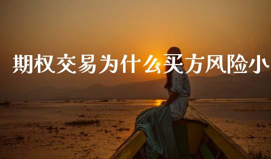 期权交易为什么买方风险小_https://wap.fcdydaikuan.com_理财顾问_第1张
