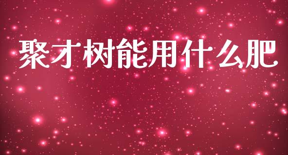 聚才树能用什么肥_https://wap.fcdydaikuan.com_金融机构_第1张