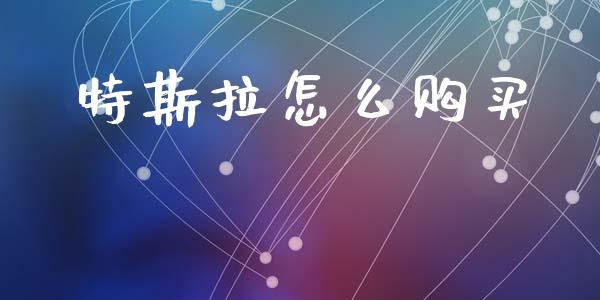 特斯拉怎么购买_https://wap.fcdydaikuan.com_期货品种_第1张