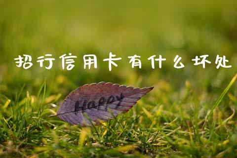 招行信用卡有什么坏处_https://wap.fcdydaikuan.com_投资策略_第1张