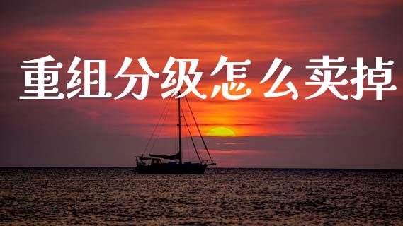 重组分级怎么卖掉_https://wap.fcdydaikuan.com_投资策略_第1张
