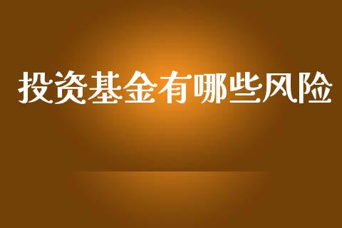 投资基金有哪些风险_https://wap.fcdydaikuan.com_投资策略_第1张