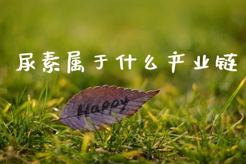 尿素属于什么产业链_https://wap.fcdydaikuan.com_理财顾问_第1张