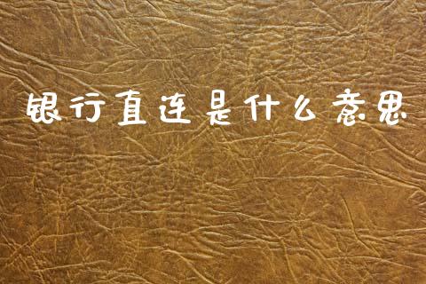 银行直连是什么意思_https://wap.fcdydaikuan.com_国际投资_第1张