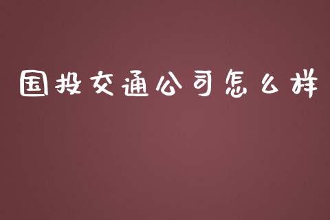 国投交通公司怎么样_https://wap.fcdydaikuan.com_投资策略_第1张