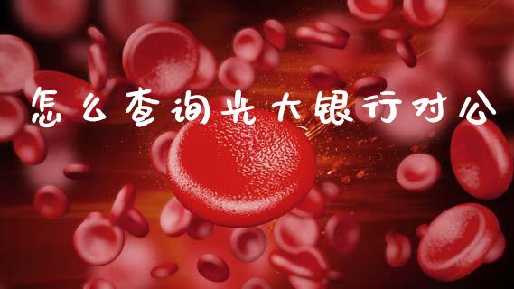 怎么查询光大银行对公_https://wap.fcdydaikuan.com_新股数据_第1张