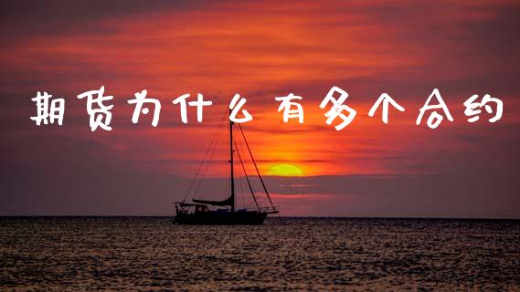 期货为什么有多个合约_https://wap.fcdydaikuan.com_新股数据_第1张