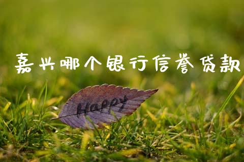 嘉兴哪个银行信誉贷款_https://wap.fcdydaikuan.com_期货品种_第1张