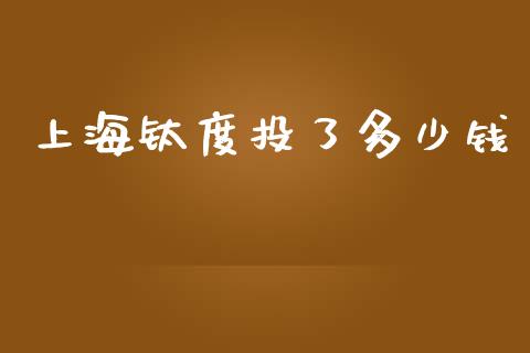 上海钛度投了多少钱_https://wap.fcdydaikuan.com_理财顾问_第1张