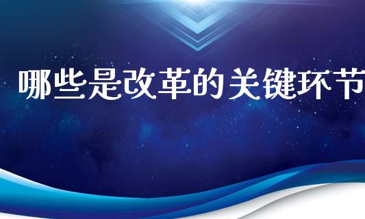 哪些是改革的关键环节_https://wap.fcdydaikuan.com_期货品种_第1张