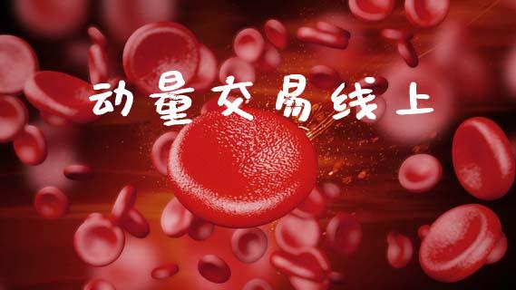 动量交易线上_https://wap.fcdydaikuan.com_理财顾问_第1张