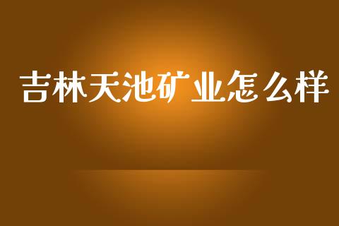 吉林天池矿业怎么样_https://wap.fcdydaikuan.com_金融机构_第1张