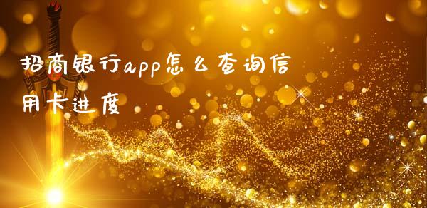招商银行app怎么查询信用卡进度_https://wap.fcdydaikuan.com_新股数据_第1张