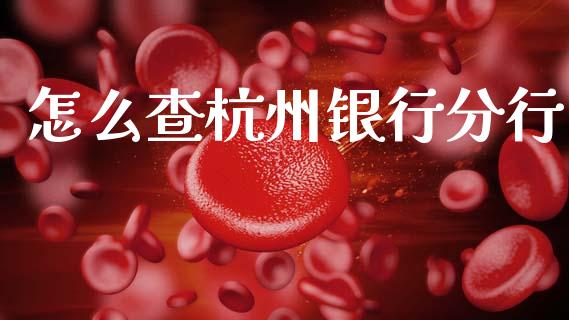 怎么查杭州银行分行_https://wap.fcdydaikuan.com_投资策略_第1张