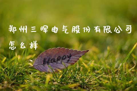 郑州三晖电气股份有限公司怎么样_https://wap.fcdydaikuan.com_投资策略_第1张