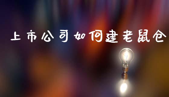 上市公司如何建老鼠仓_https://wap.fcdydaikuan.com_金融机构_第1张