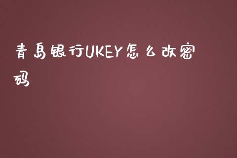 青岛银行UKEY怎么改密码_https://wap.fcdydaikuan.com_理财顾问_第1张