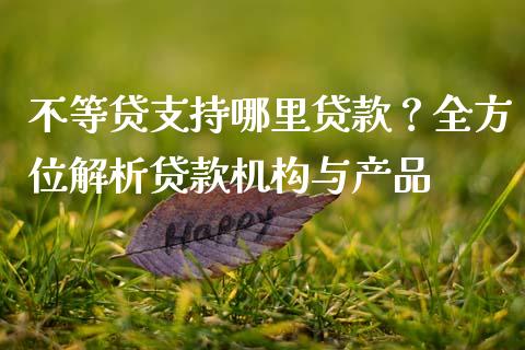 不等贷支持哪里贷款？全方位解析贷款机构与产品_https://wap.fcdydaikuan.com_投资策略_第1张
