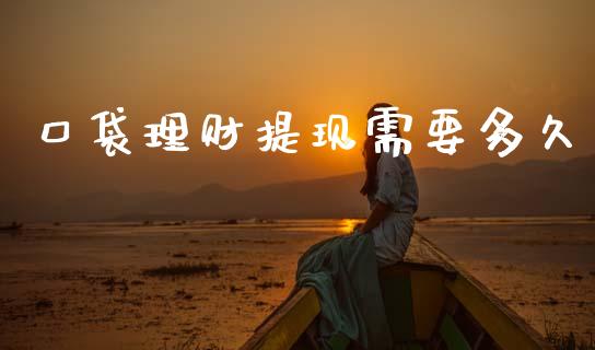 口袋理财提现需要多久_https://wap.fcdydaikuan.com_期货品种_第1张