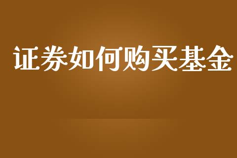 证券如何购买基金_https://wap.fcdydaikuan.com_理财顾问_第1张