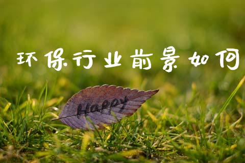 环保行业前景如何_https://wap.fcdydaikuan.com_金融机构_第1张