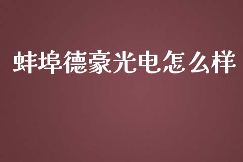 蚌埠德豪光电怎么样_https://wap.fcdydaikuan.com_金融机构_第1张