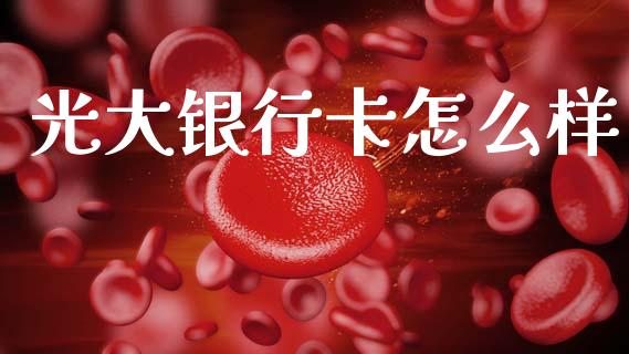 光大银行卡怎么样_https://wap.fcdydaikuan.com_期货品种_第1张
